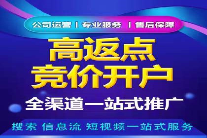 某企业通过百度SEM实现ROI最大化的案例